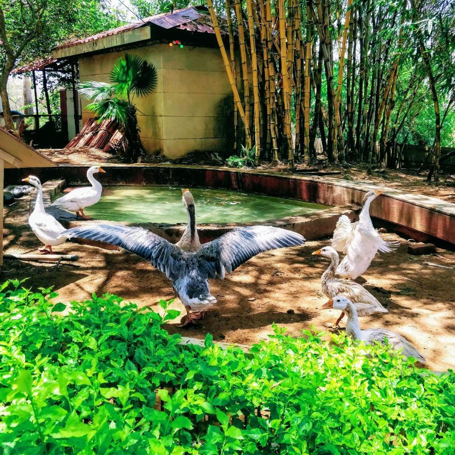 Dew Drops Boutique Retreat Hotel Igatpuri Exterior photo
